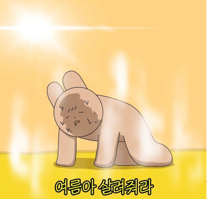 웨딩공방 이미지
