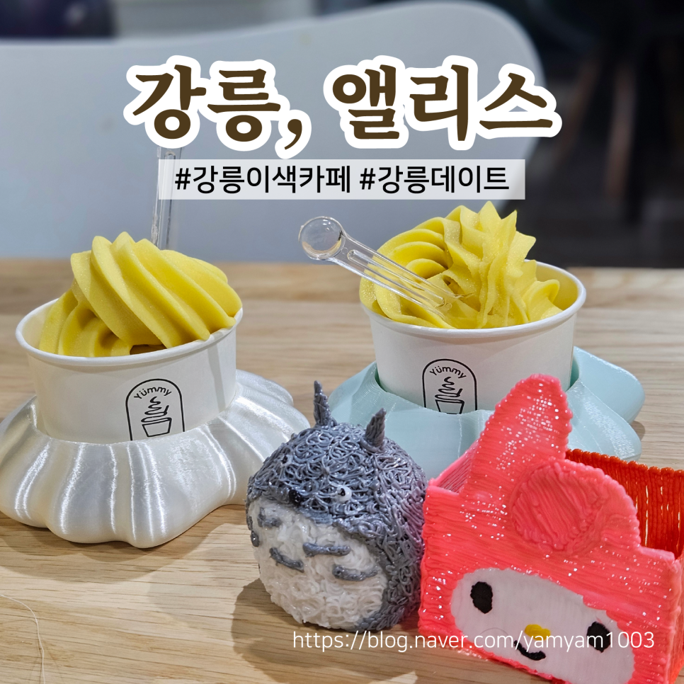 강릉;앨리스 이미지