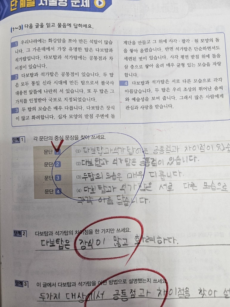 신안초등학교 이미지