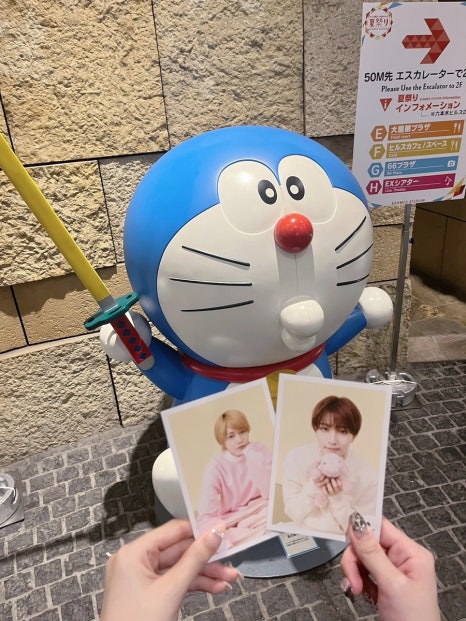 레포 이미지