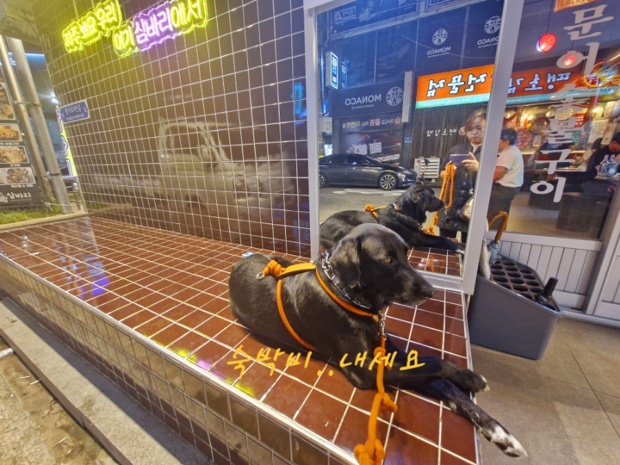 삼바리(진주평거점) 이미지