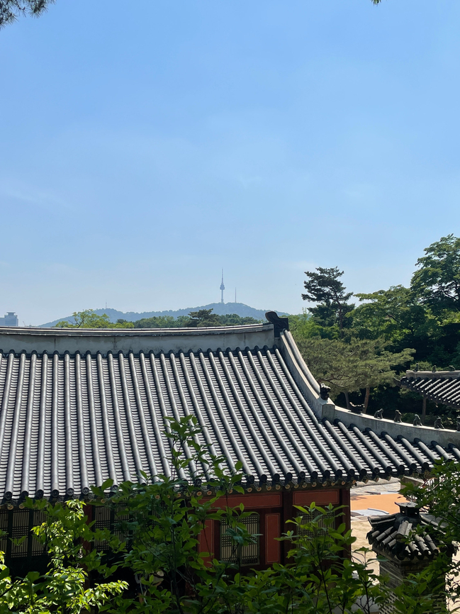 로이세무회계 이미지