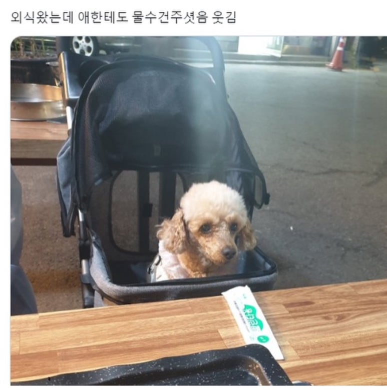 은희네 이미지