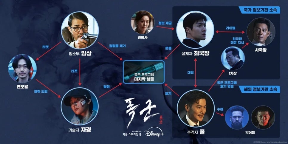 브이아이피플러스 이미지