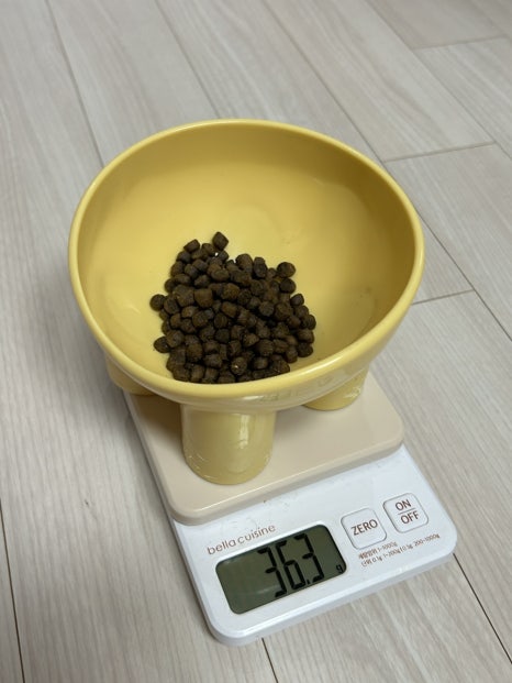 미트 앤 피쉬 이미지