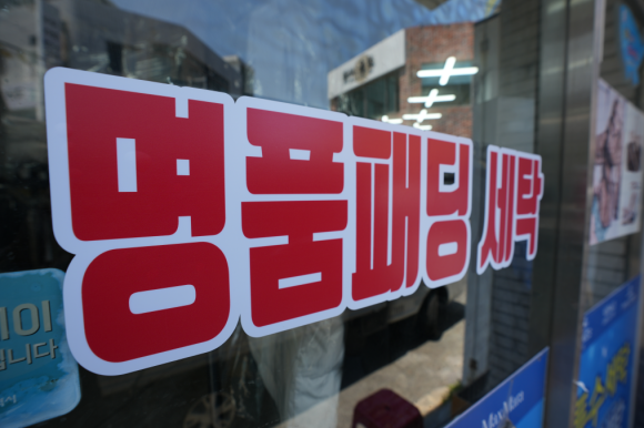 개미세탁 이미지