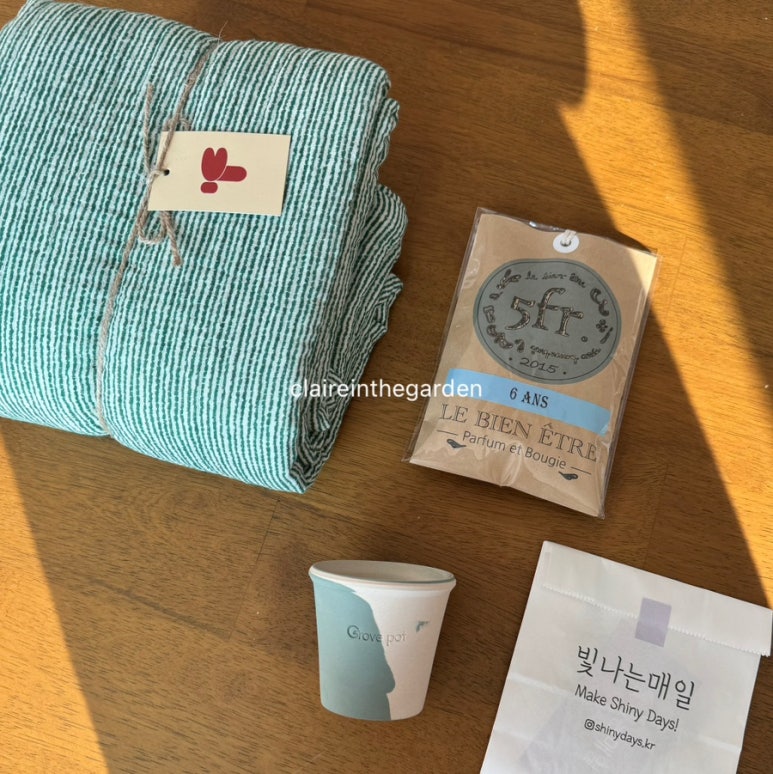 팔로디리몬 이미지