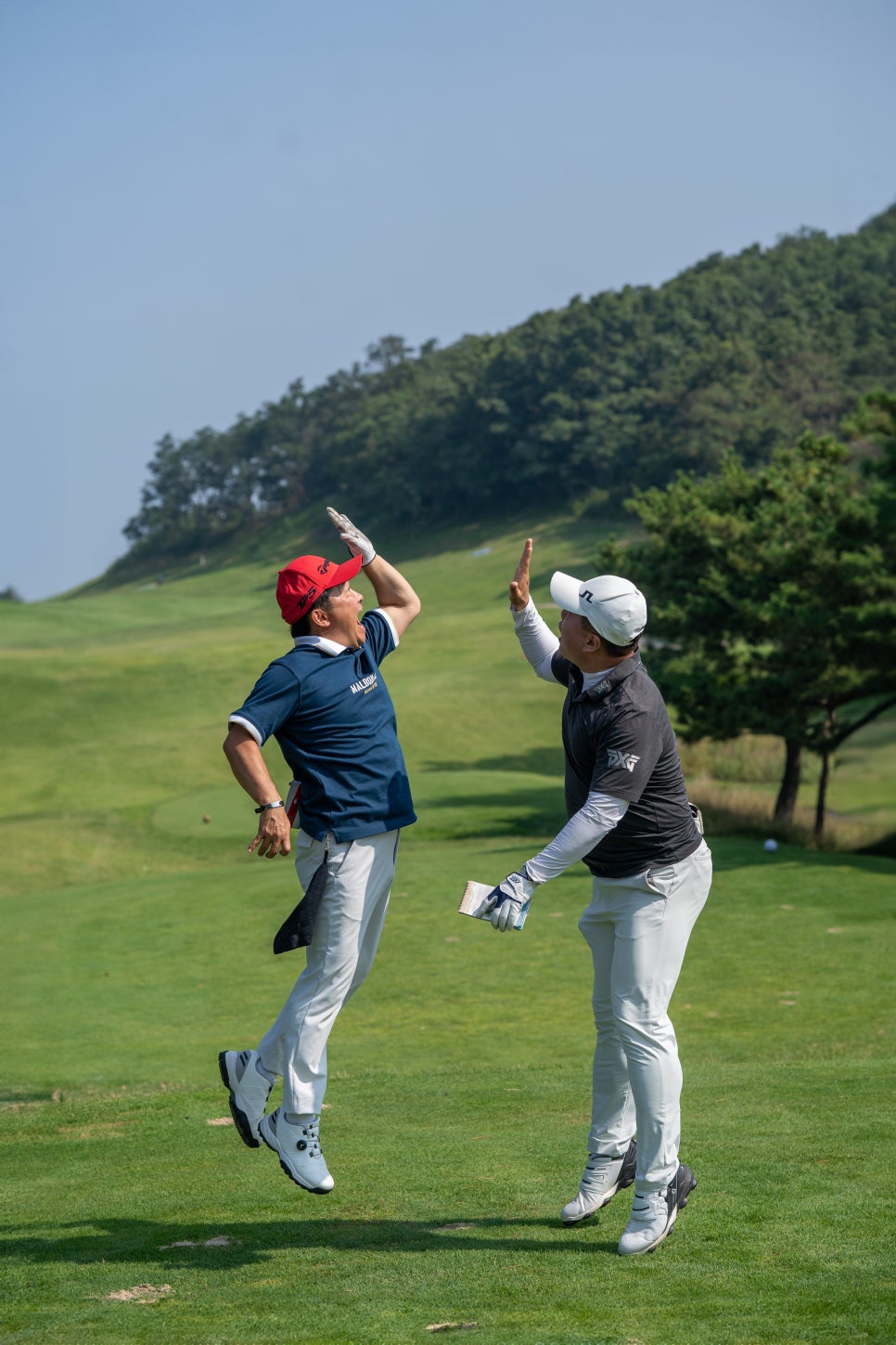 무늬만 쏭프로 골프투어 이미지