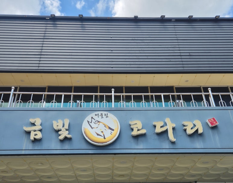 금빛코다리 이미지