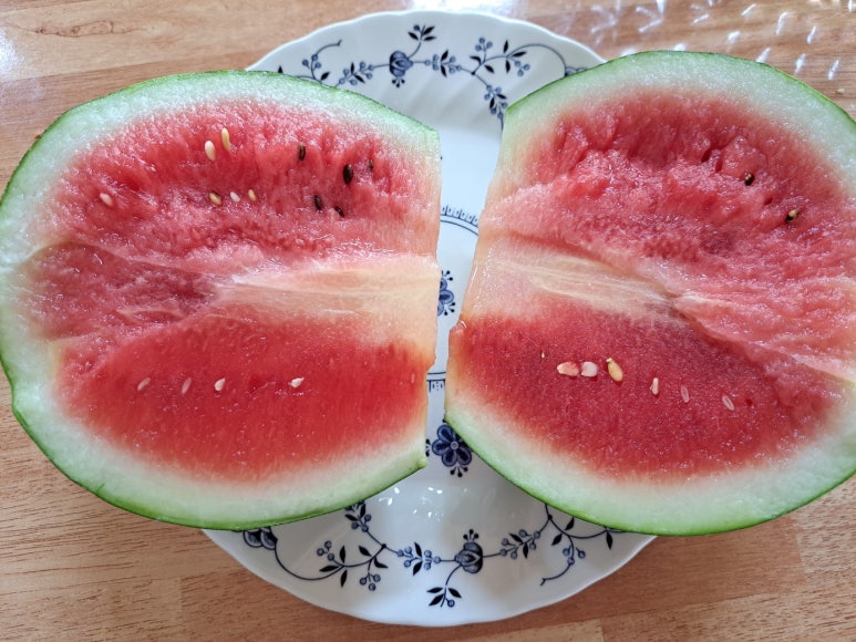야채마트 이미지