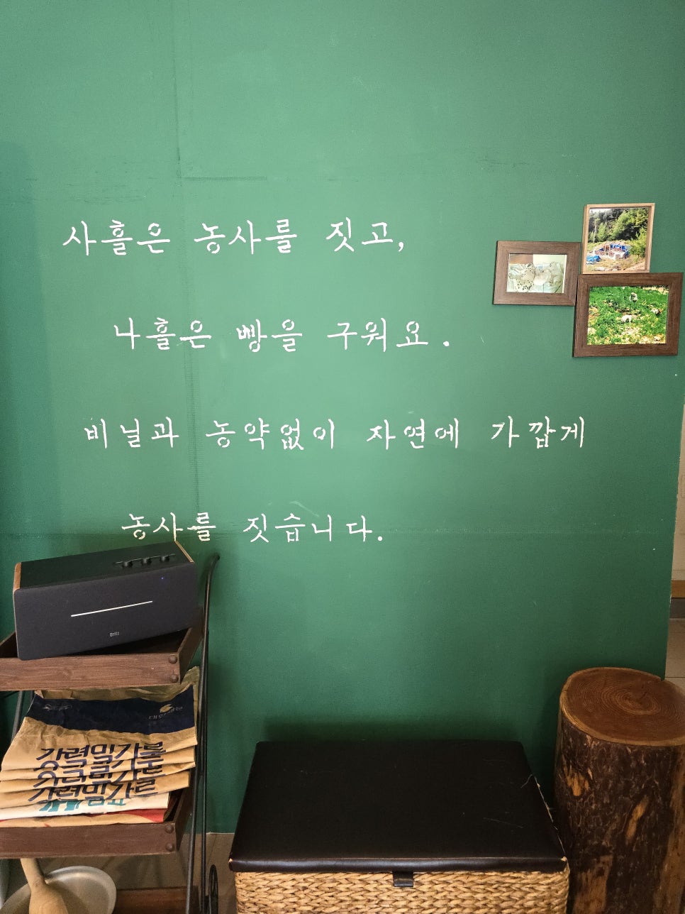 콩보다조 이미지