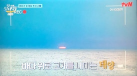 언니네축산 이미지
