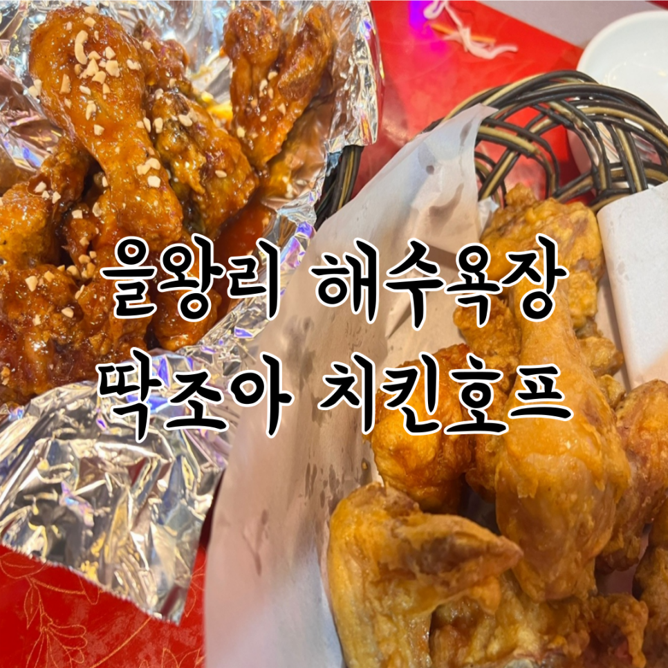 조아호프 이미지