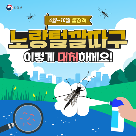 주식회사 노랑 이미지