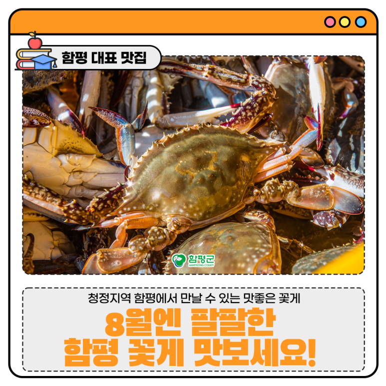 팔팔몰 이미지