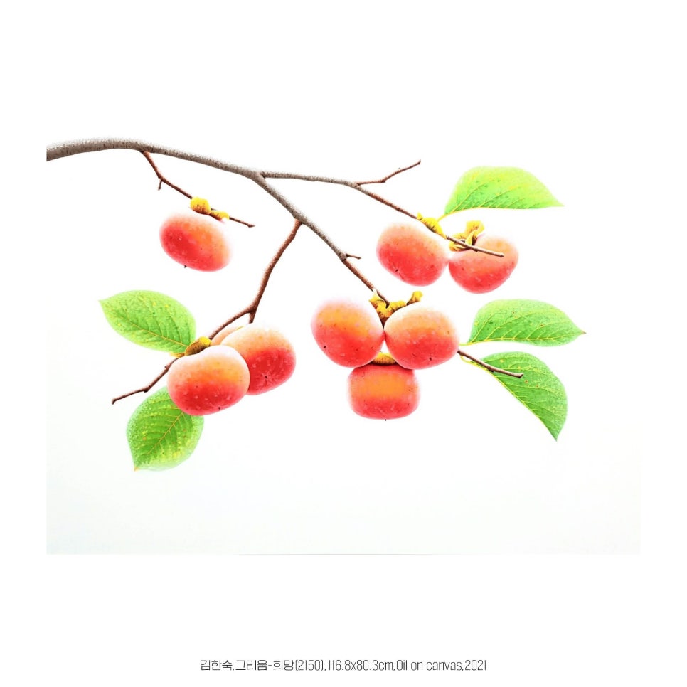 K.D 컴퍼니 이미지