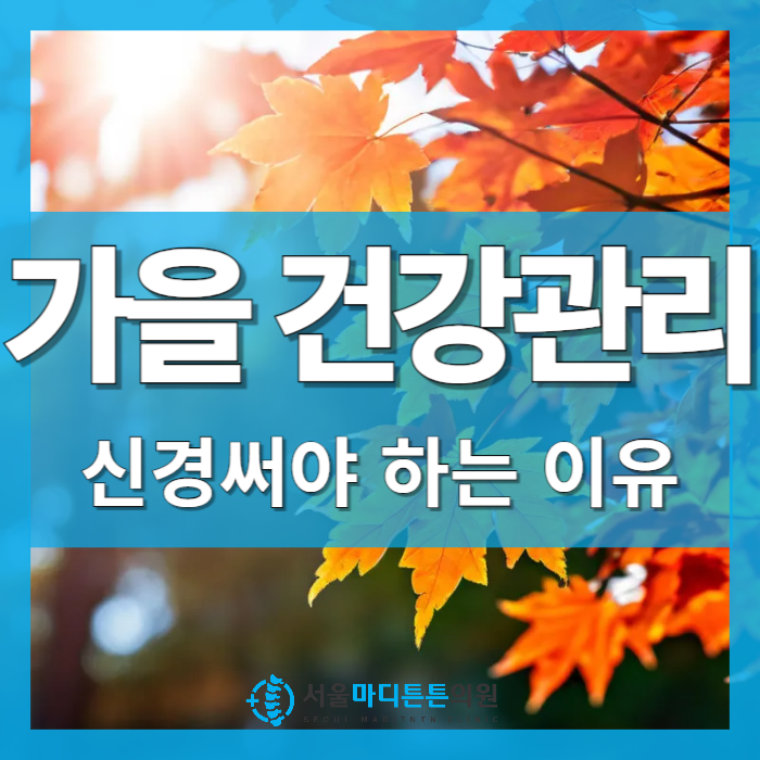 서울마디튼튼의원 이미지