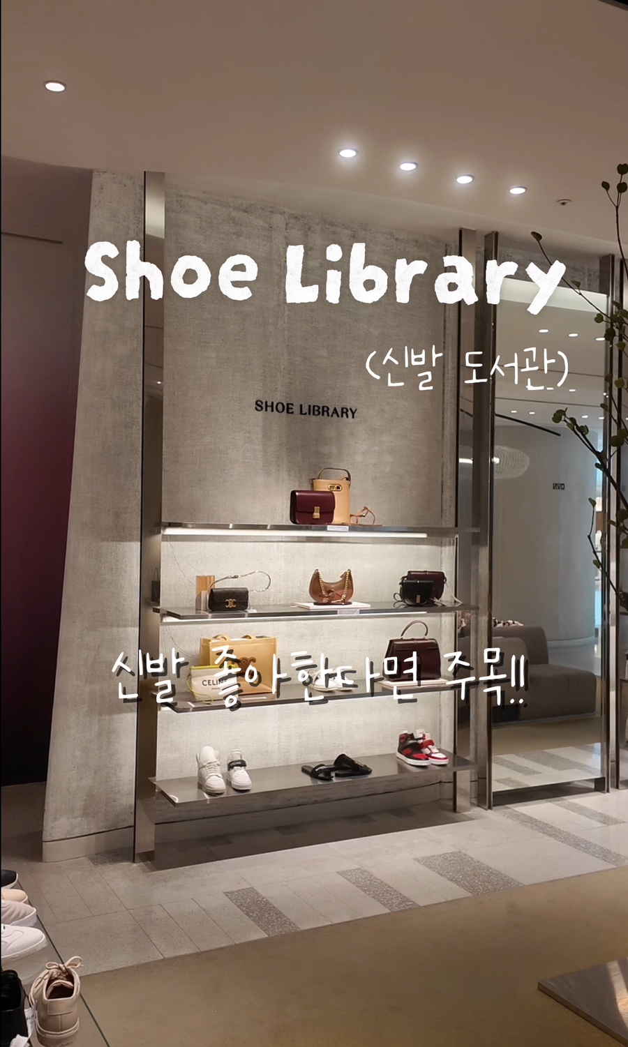 슈라이브러리 이미지