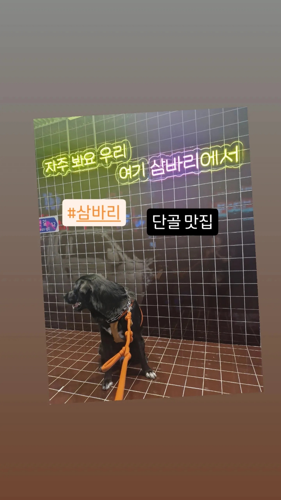 삼바리(진주평거점) 이미지