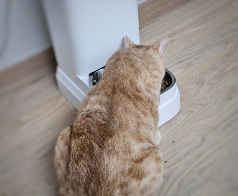 루루옷방 이미지