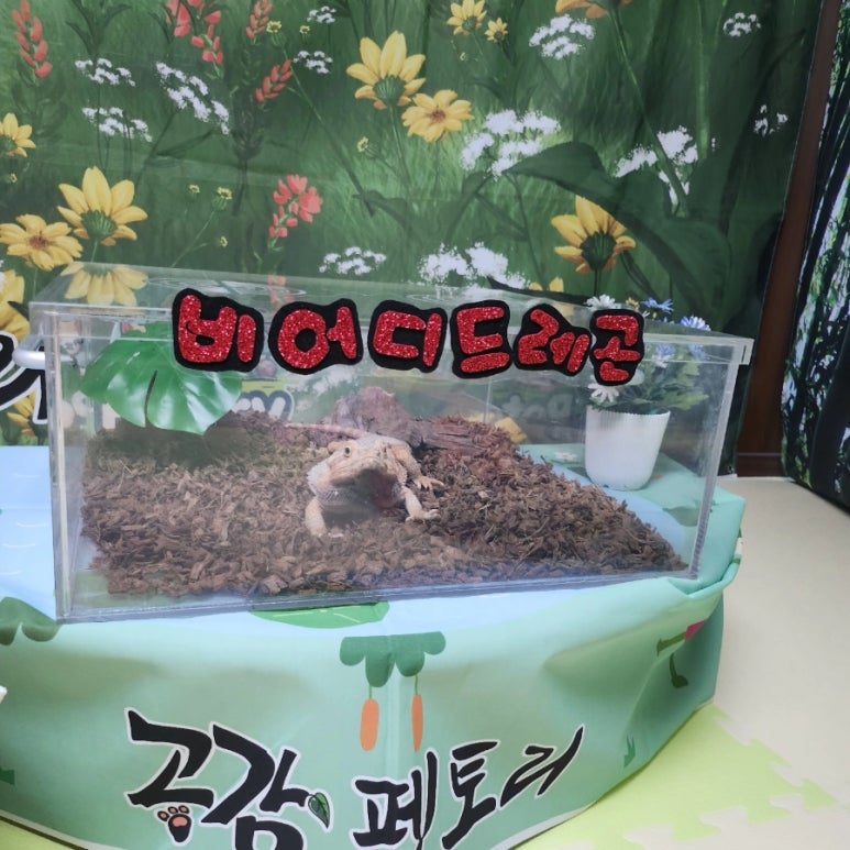 공감펫토리 이미지