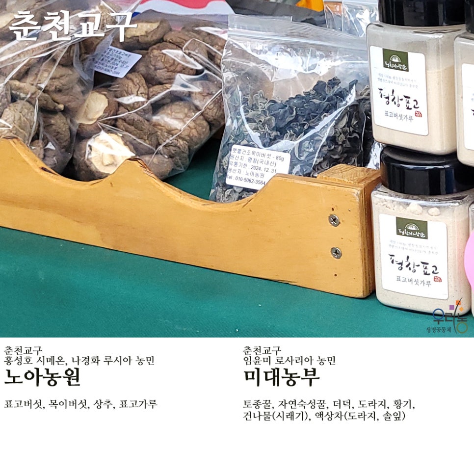 평창천년삼 이미지