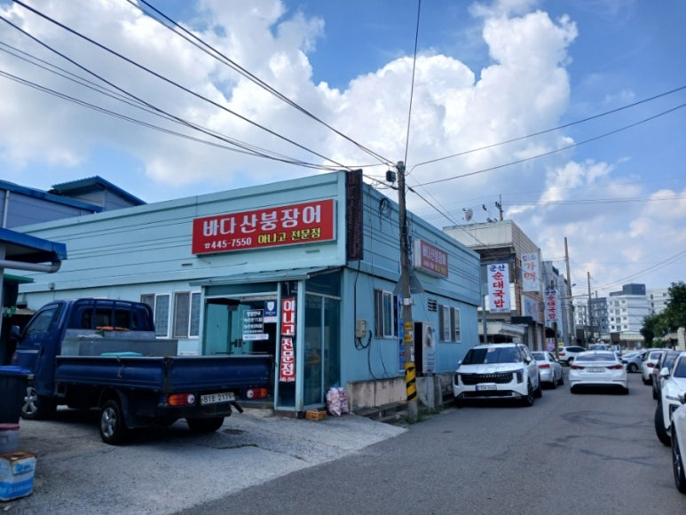 바다산장어 이미지