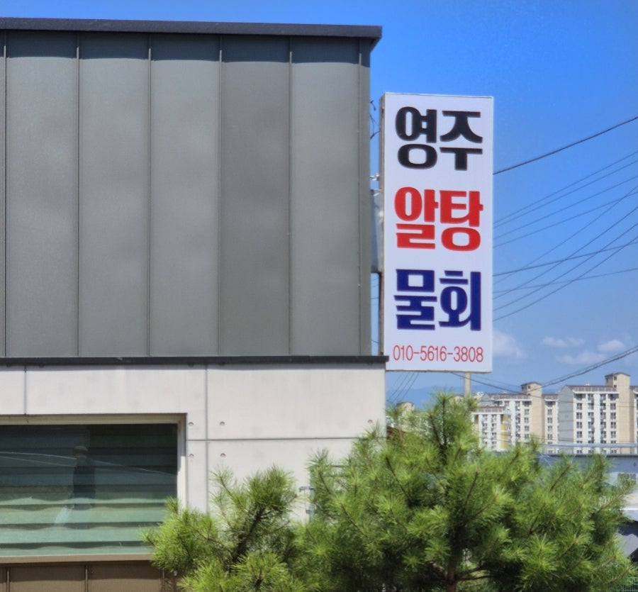 영주알탕물회 이미지