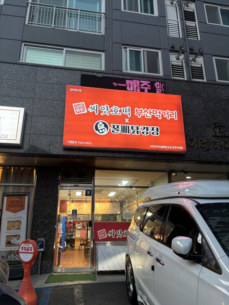 양주도니 이미지