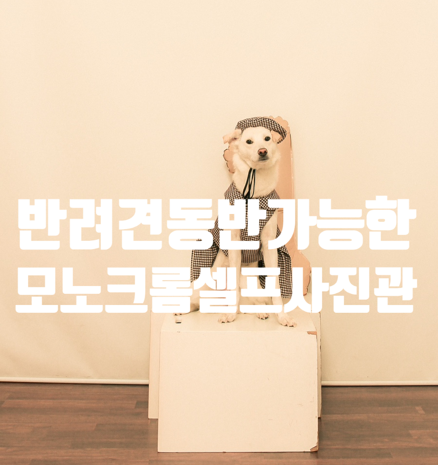 모노크롬스튜디오 이미지
