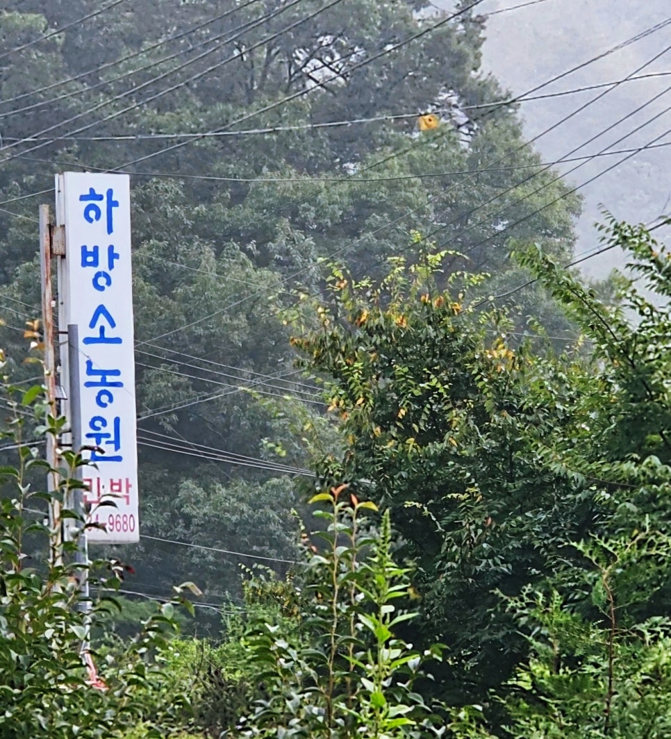 하방소농원 이미지