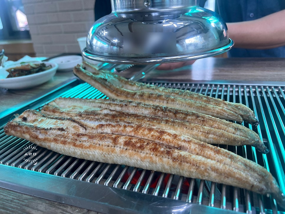 서탄민물장어 이미지