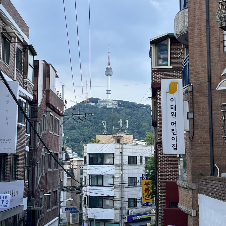 다솜투어 이미지
