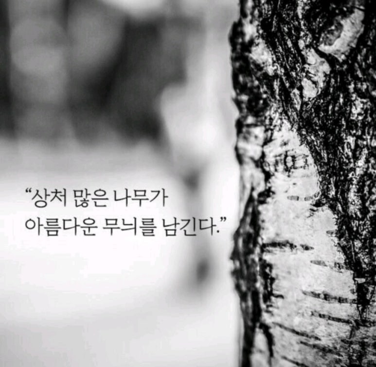 J&J 이미지