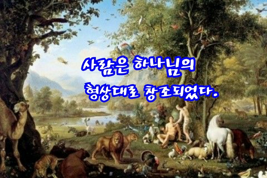 사람과창조 이미지
