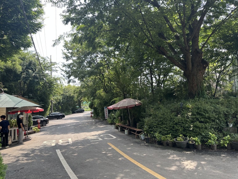 자연농원생오리 이미지