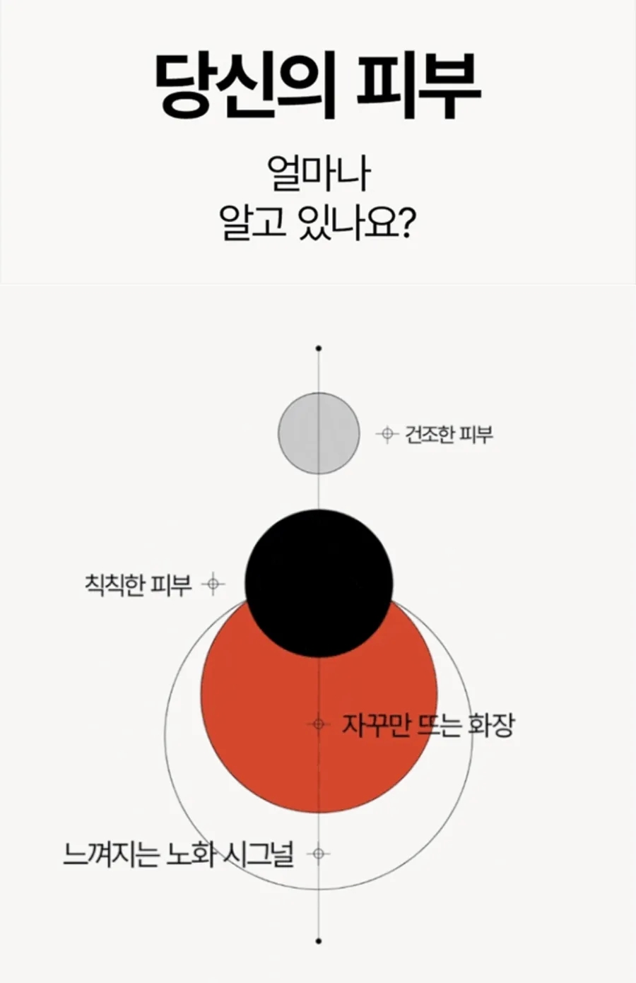 스킨라이트 이미지