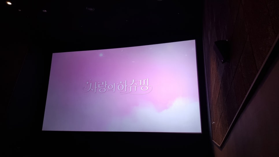 롯데시네마 수완 4관 이미지