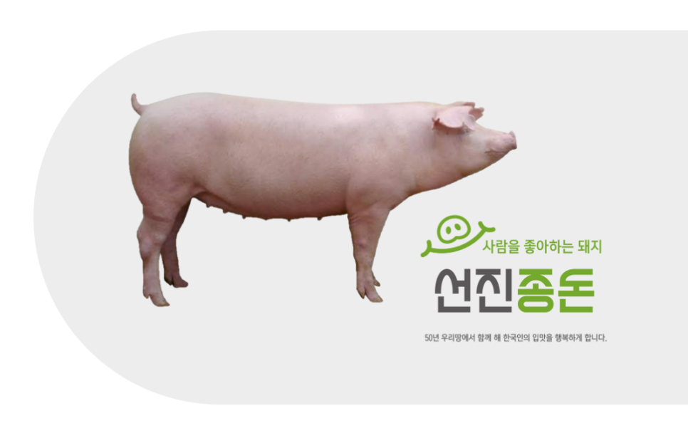 선진랜드 이미지