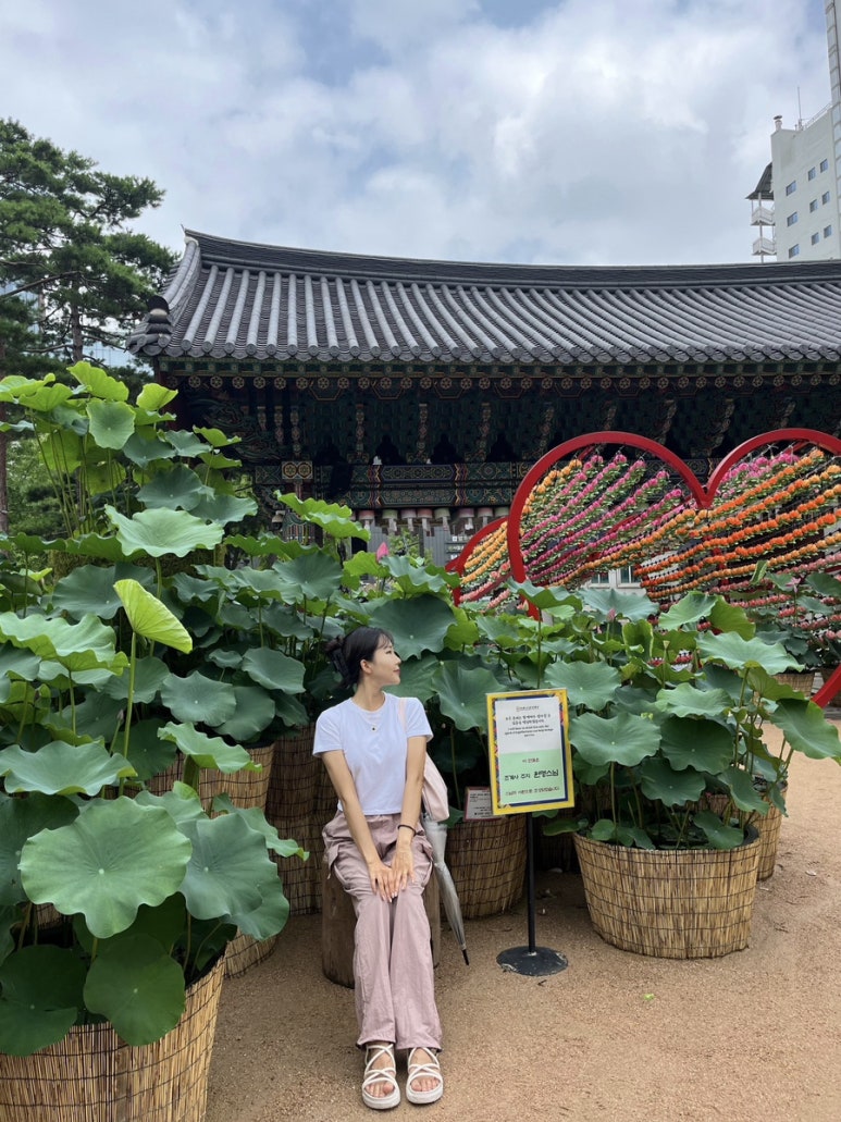 염주짱 이미지