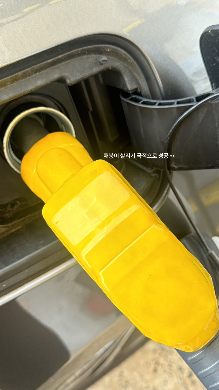 산호대교주유소 이미지