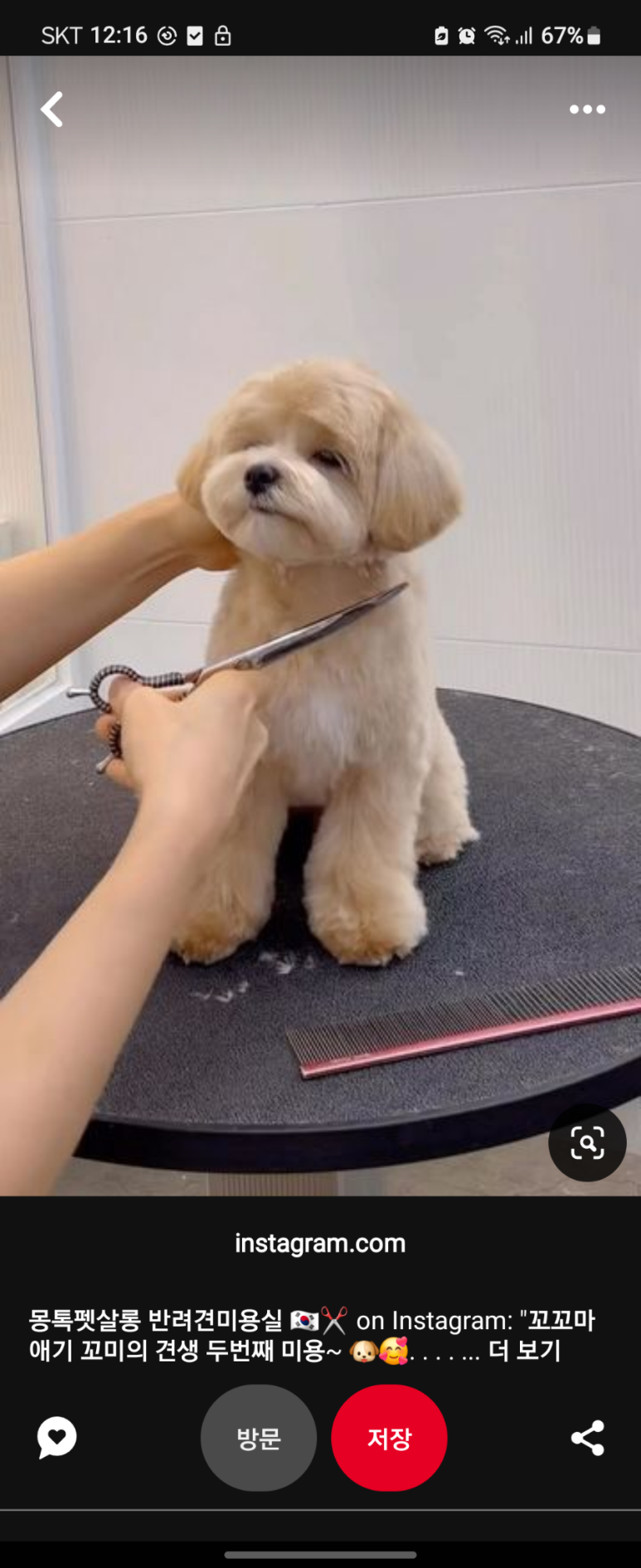 에바가위컷 전문점 이미지