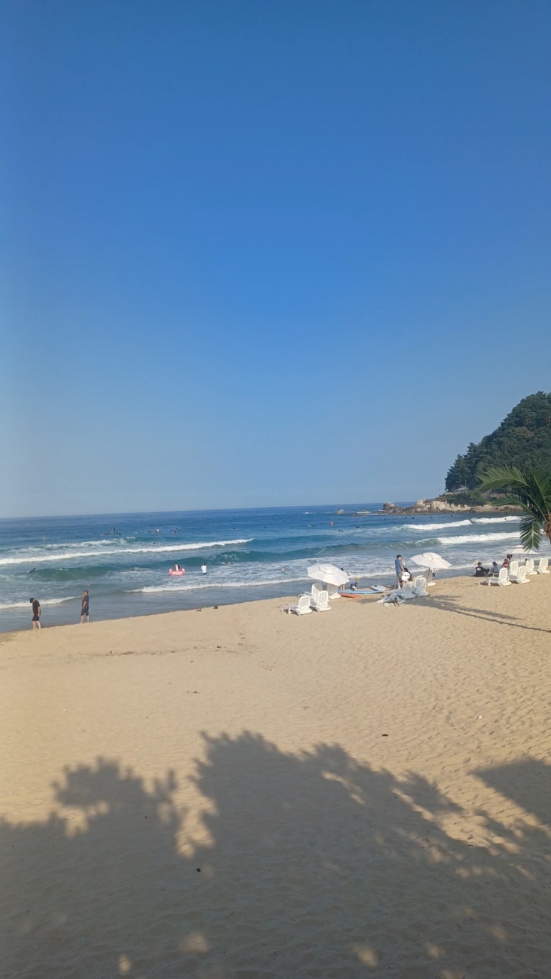 김미정 야식 이미지