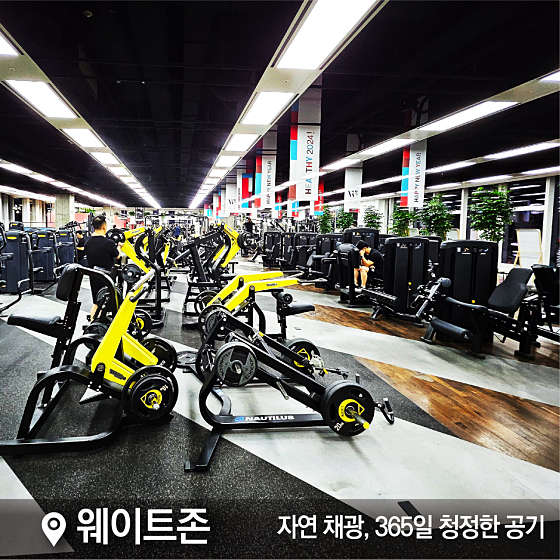 센터원웰니스 이미지