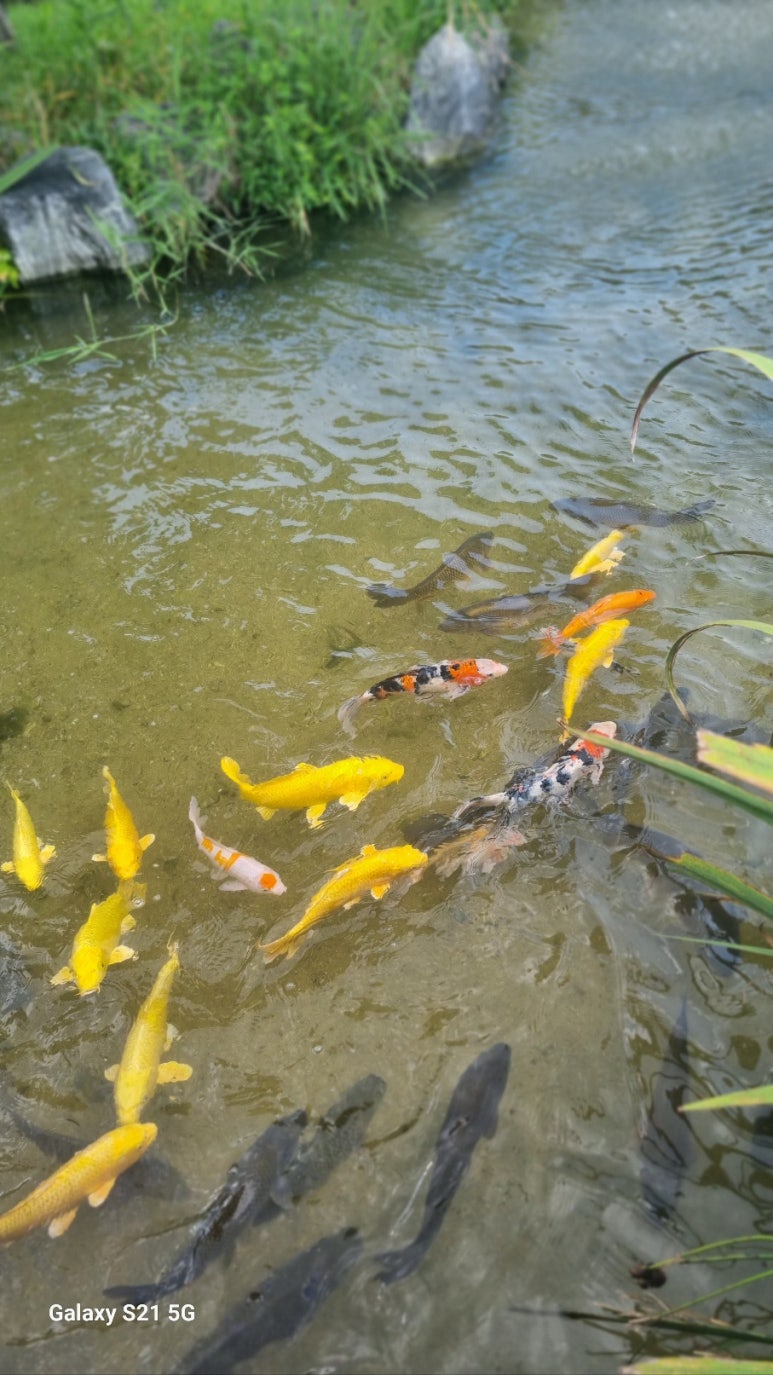 민물자연수산 이미지