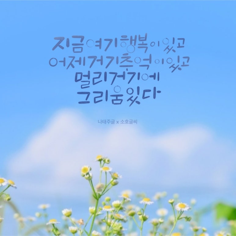 어제거기 이미지