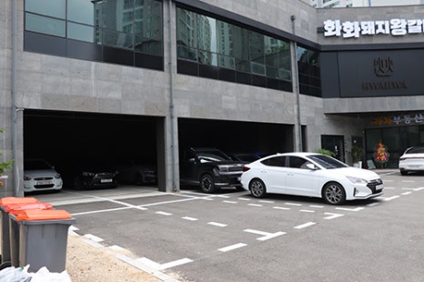 돼지3남매 이미지