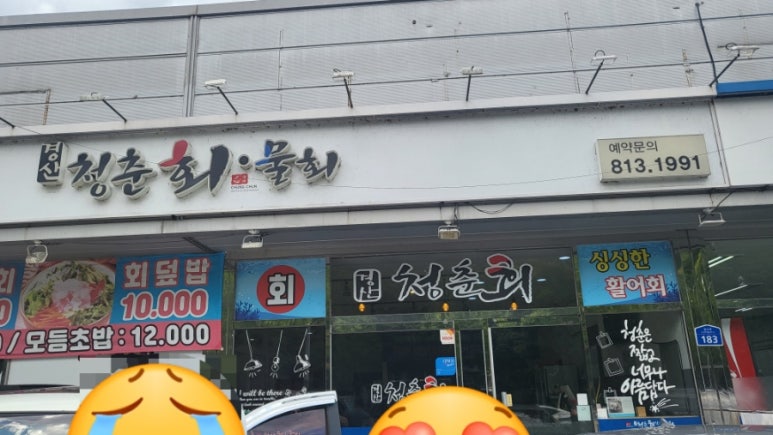 청춘회물회 이미지