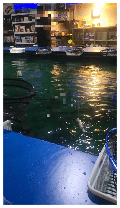 또와또실내낚시카페 이미지