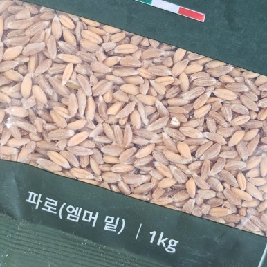 셀더바이 이미지